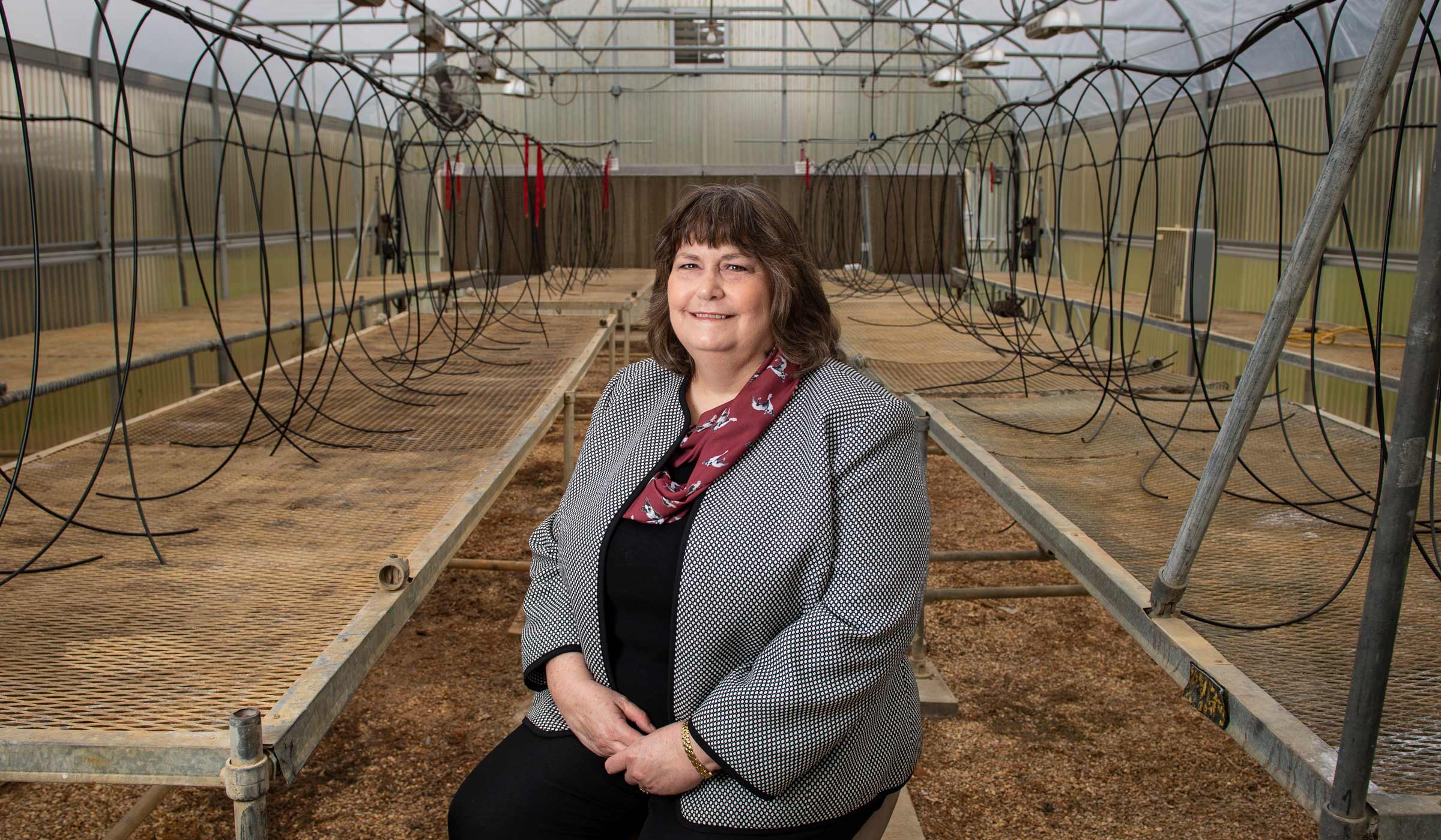 Sonya Baird, pictured in an empty greenhouse on the MSU campus.