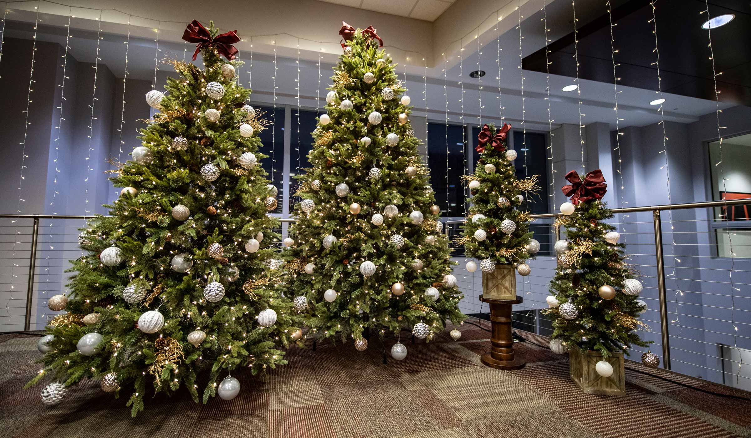 Christmas Trees in the Student Union.