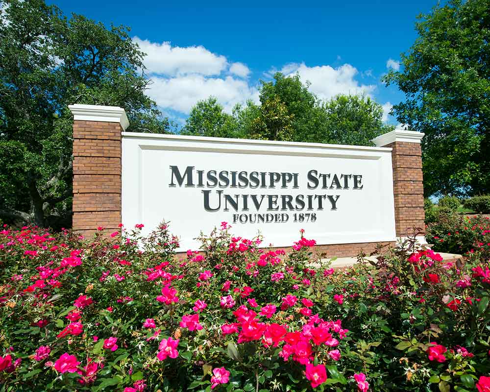 MSU waiving GMAT/GRE requirements for summer and fall graduate school  applicants | Mississippi State University