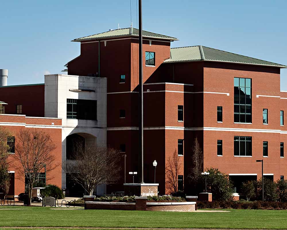 Mississippi state university libraries