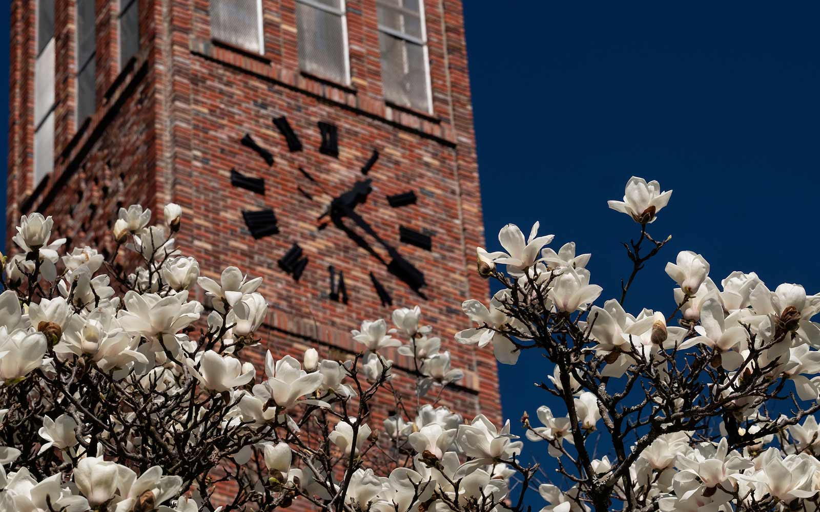 Msu Revises Spring 2021 Academic Calendar Amid Covid-19 | Mississippi State  University