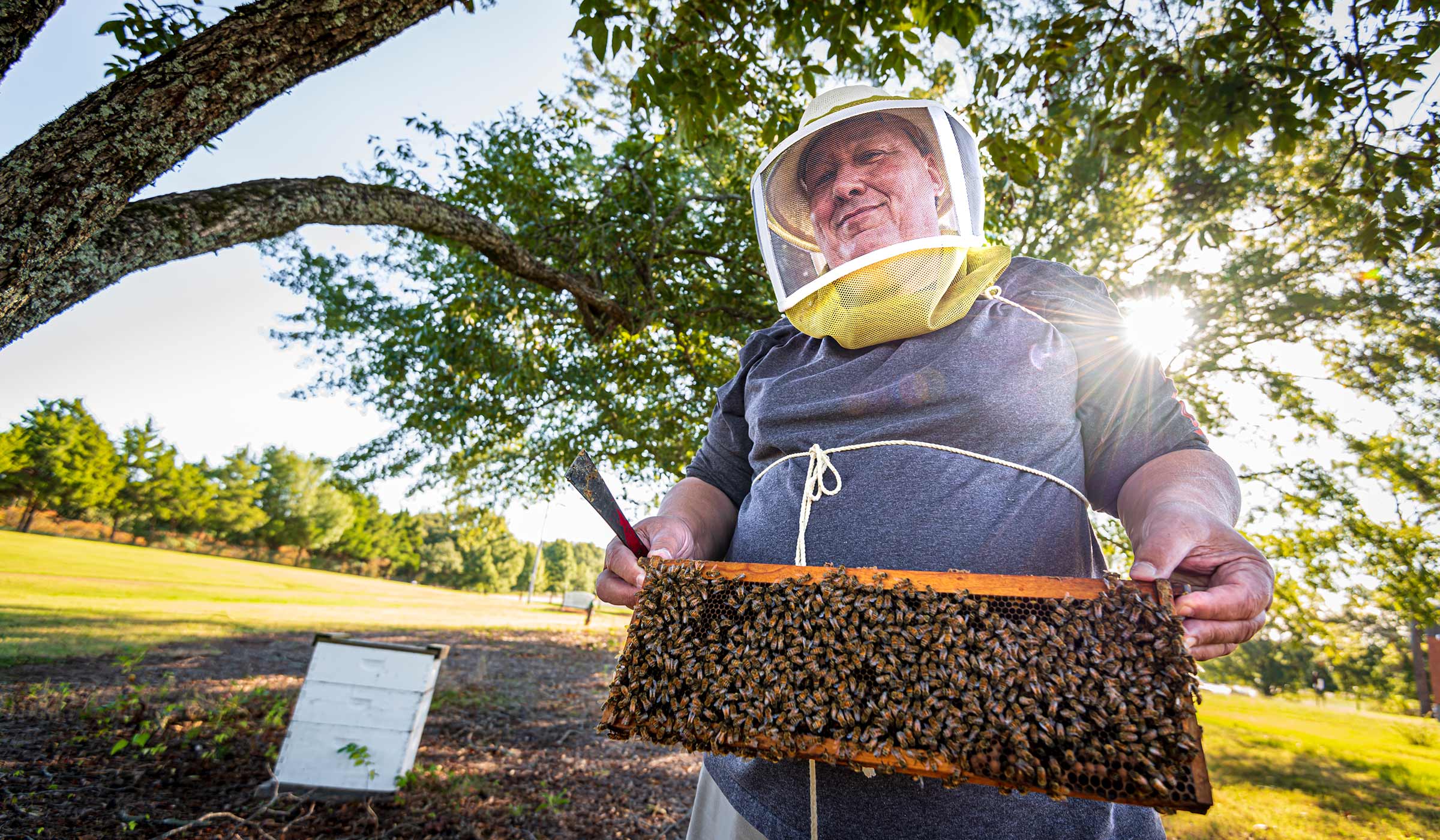 Jeff Harris pictured with a bee colony outside.