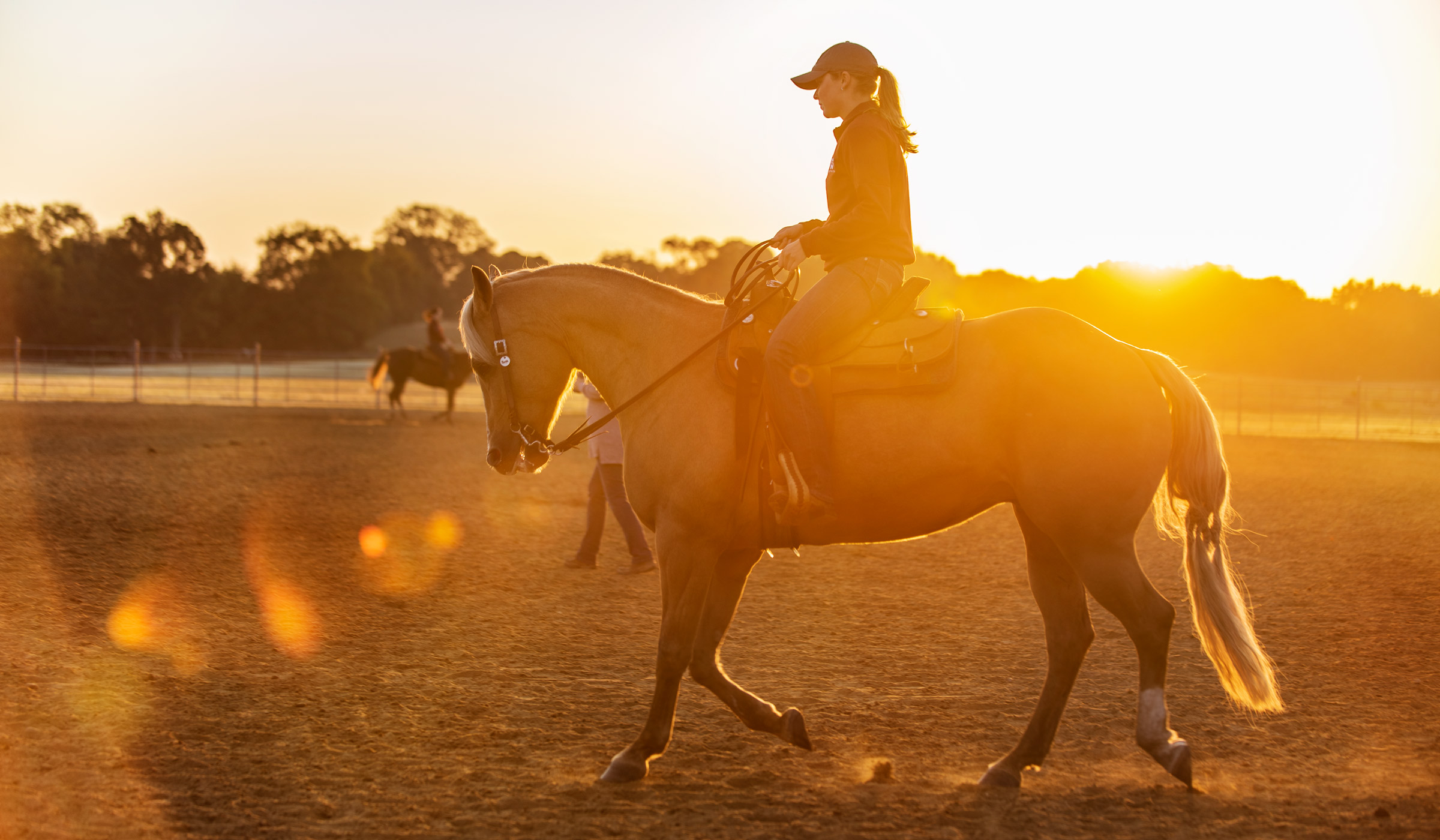 With the morning sunbeams around her, student Equestrian Club member  Jillian Conner rides her horse while kicking up dust.