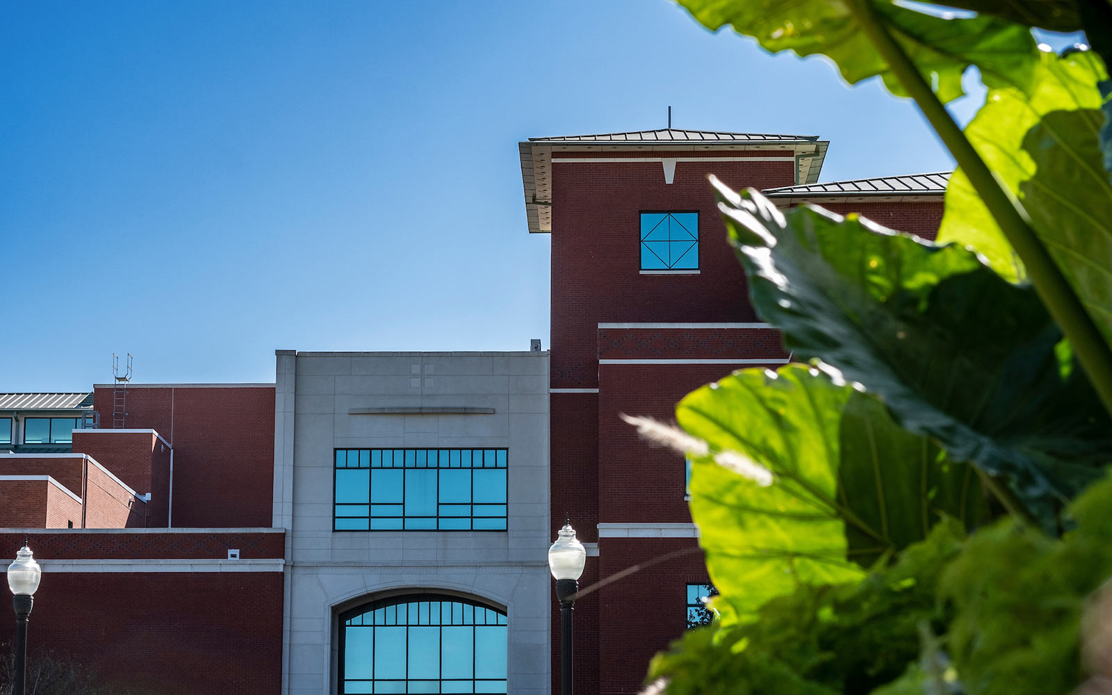 Search continues for new Mississippi State University Dean of Libraries