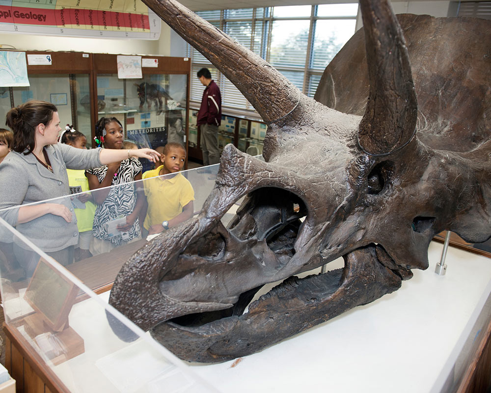 Celebrating National Fossil Day Name that dinosaur contest, virtual