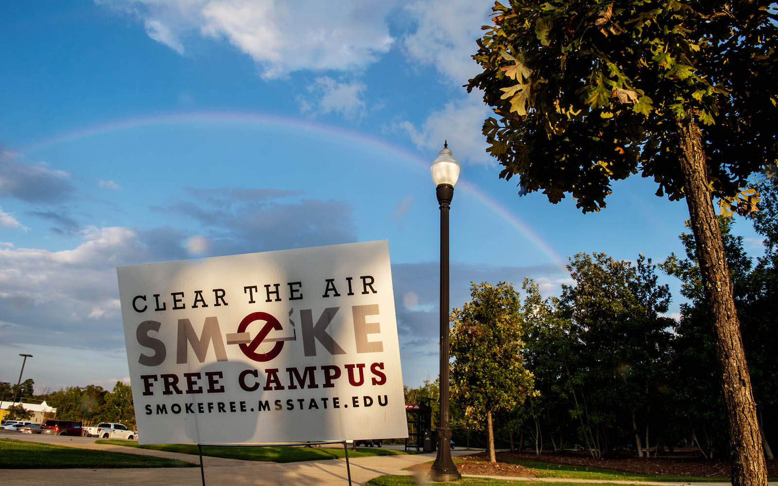 MSU offers smoking cessation programs to students, faculty