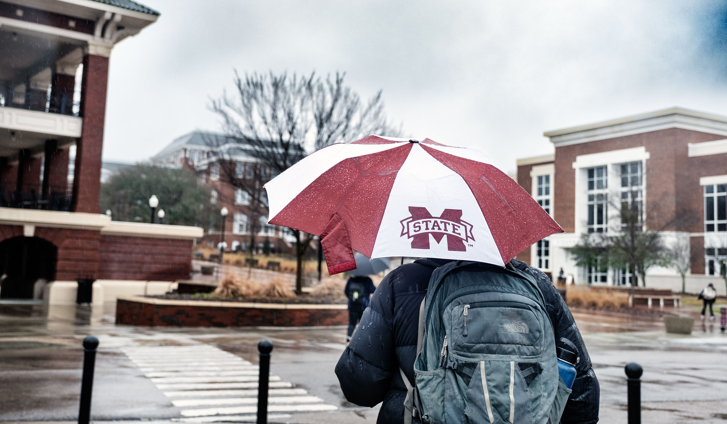 Viewed from behind, a student walks under a maroon and white MSU umbrella towards Colvard Union and the YMCA Building.