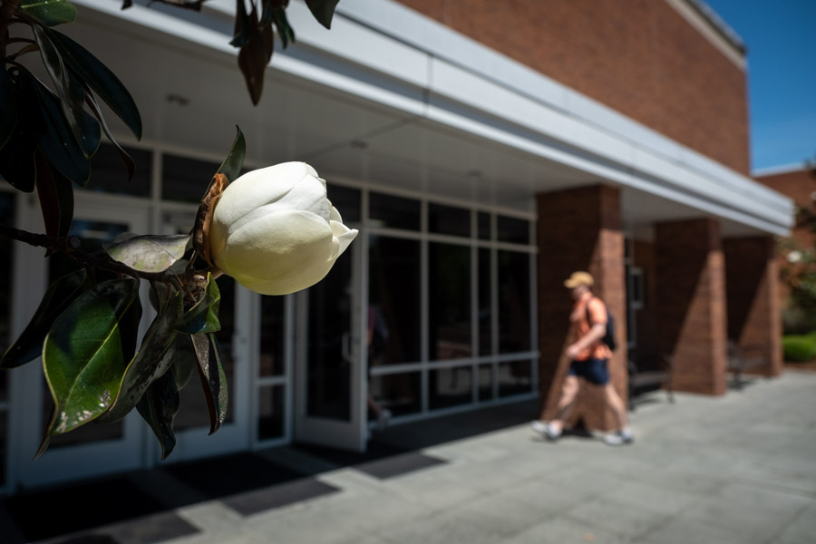 McCool Magnolias Mississippi State University