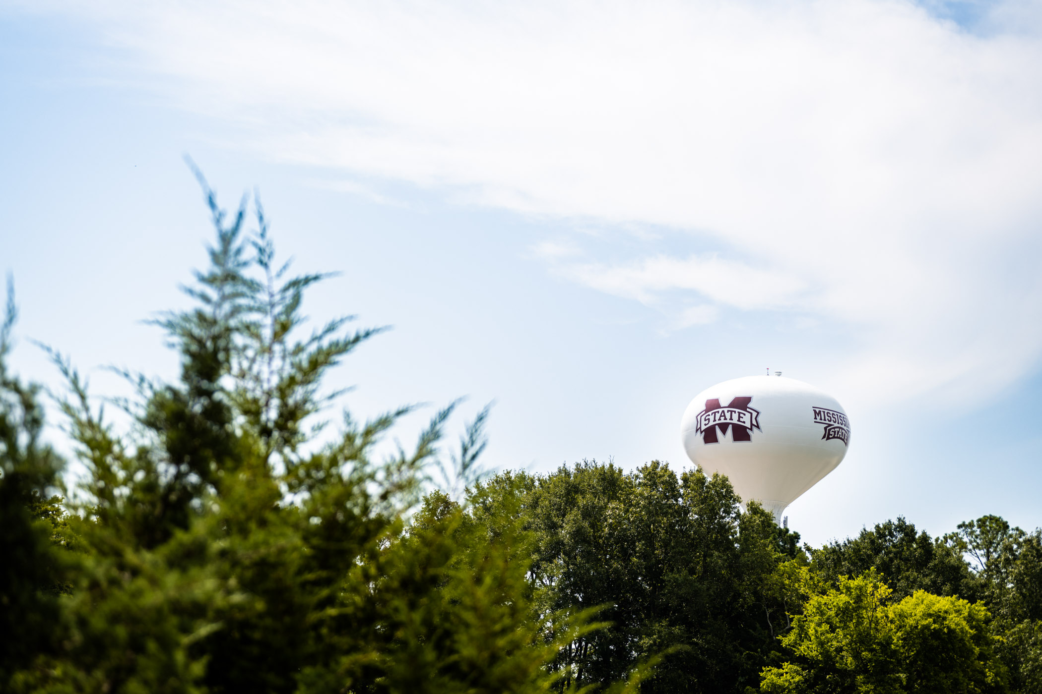 The MSU-branded water tower at the H. H. Leveck Animal Research Center, also known as South Farm, sits in the summer sky, overlooking campus on a bright and sunny Maroon Friday. 