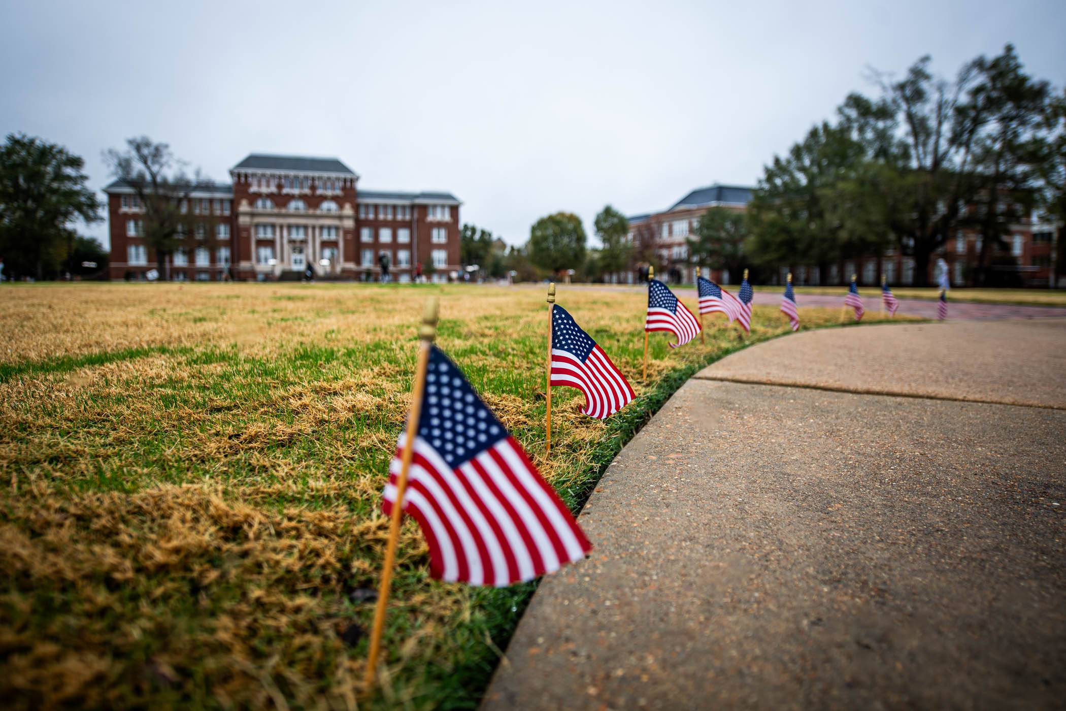 As flags fly along the sidewalks of Mississippi State’s Drill Field—the original main lawn where military cadets practiced formations--the university thanks the men and women who have selflessly served this country for generations.