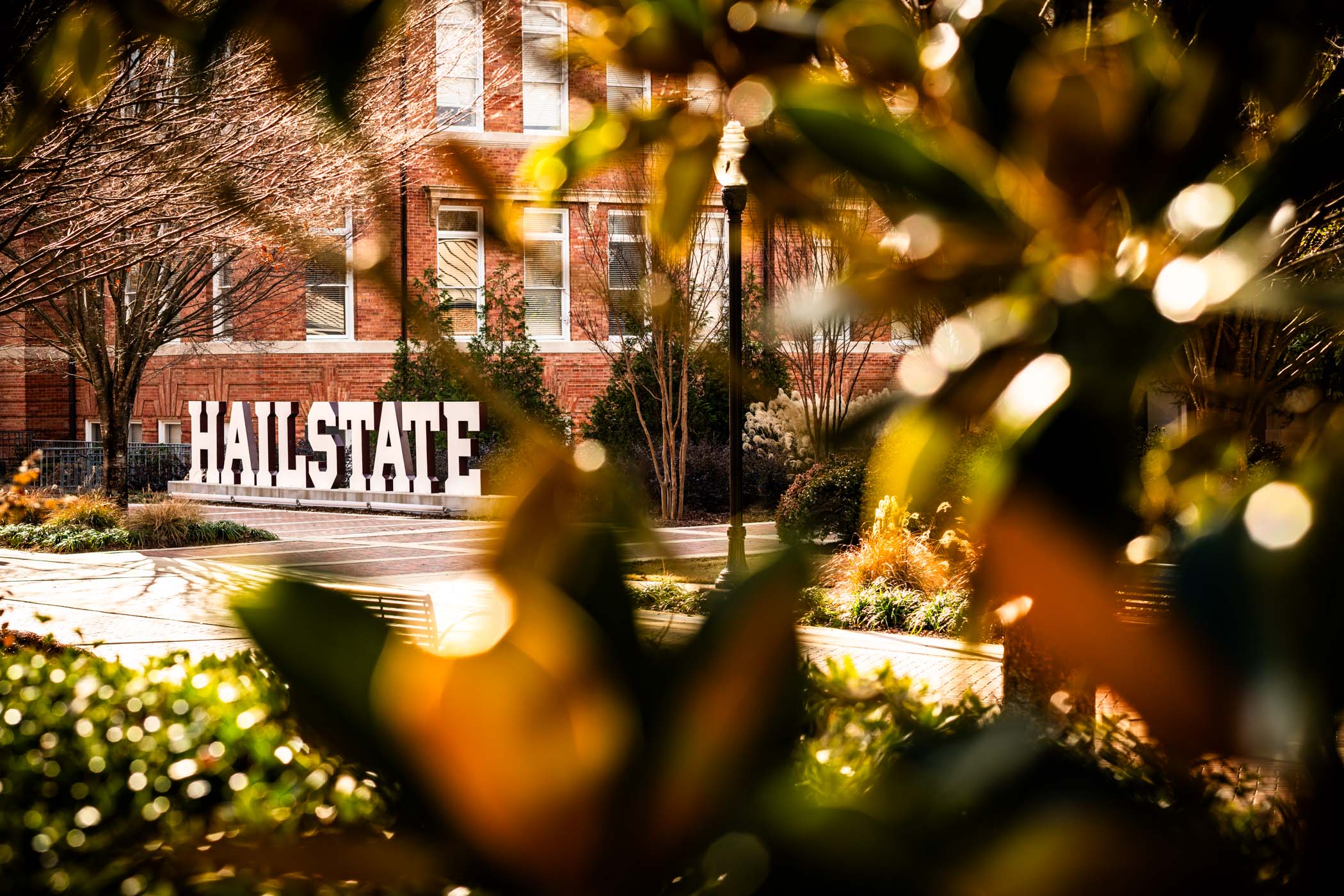 While peeking through a magnolia tree, MSU&#039;s iconic &quot;Hail State&quot; sign is seen bathed in golden winter light along the edges of Hail State Plaza. 