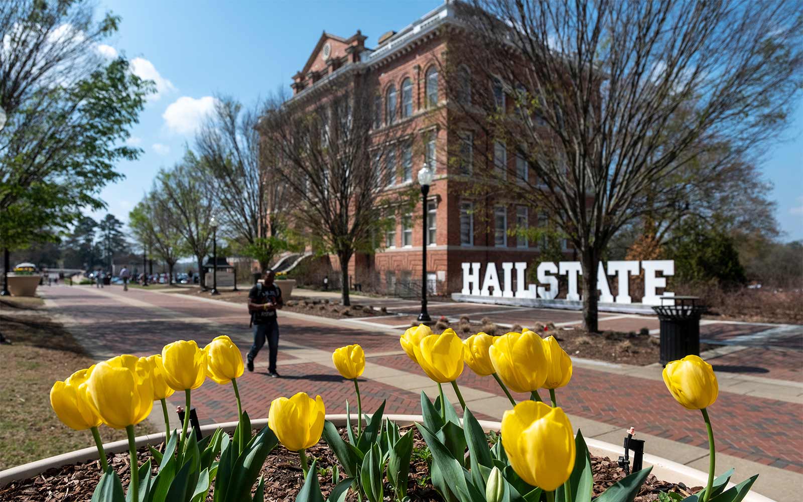 Forbes ranks MSU only SEC school in Top 50 ‘America’s Best Large