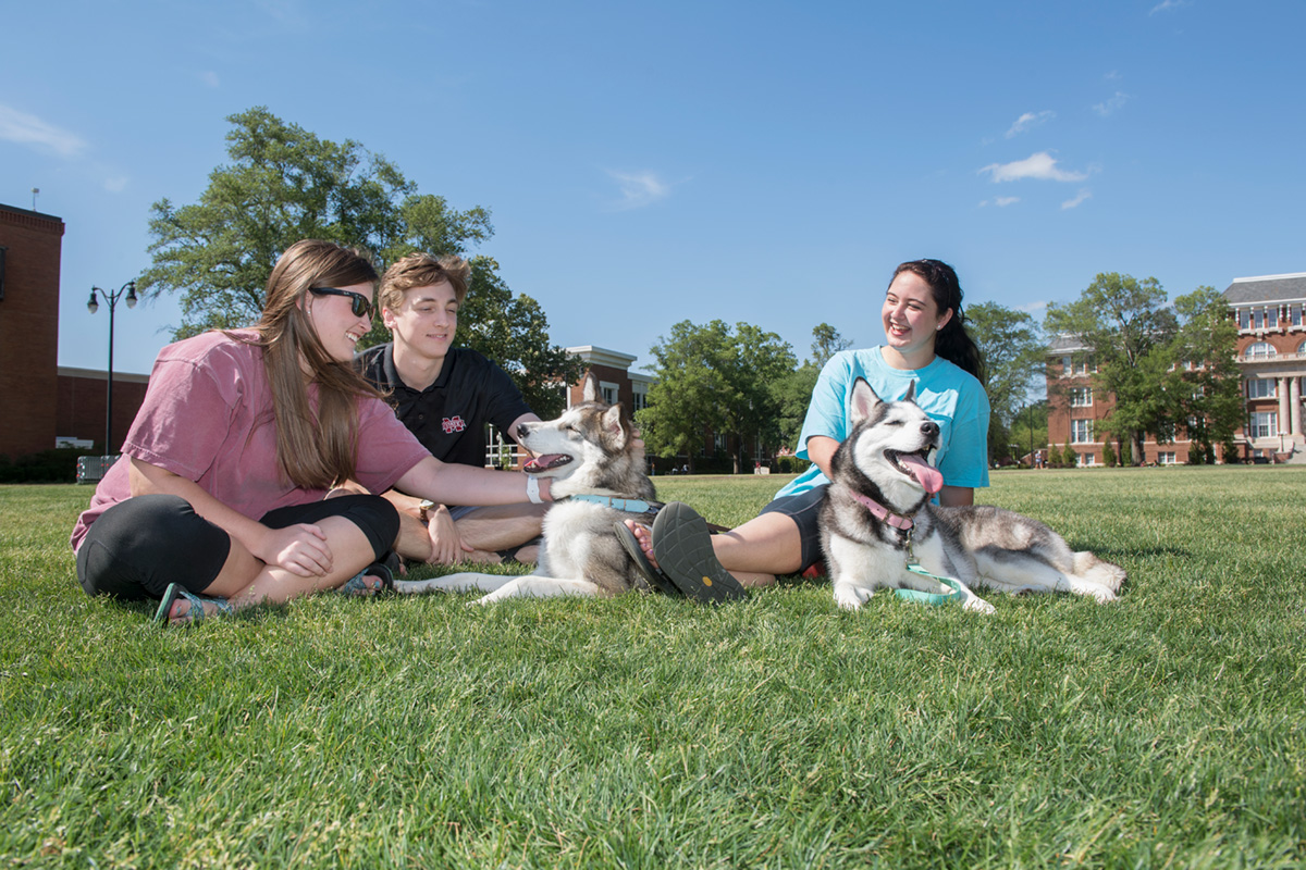 Three students relax on the Drill Field with two huskies