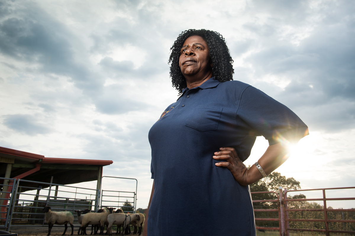 Margaret Khaitsa, pictured with livestock at an MSU research facility.