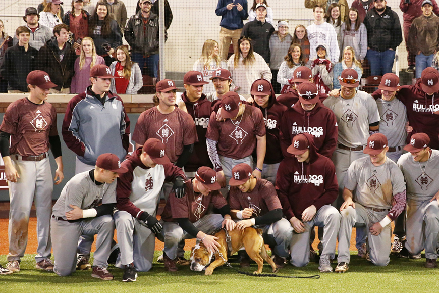 Members of MSU&amp;#039;s baseball team scratch the back of school&amp;#039;s bulldog mascot prior to a photo