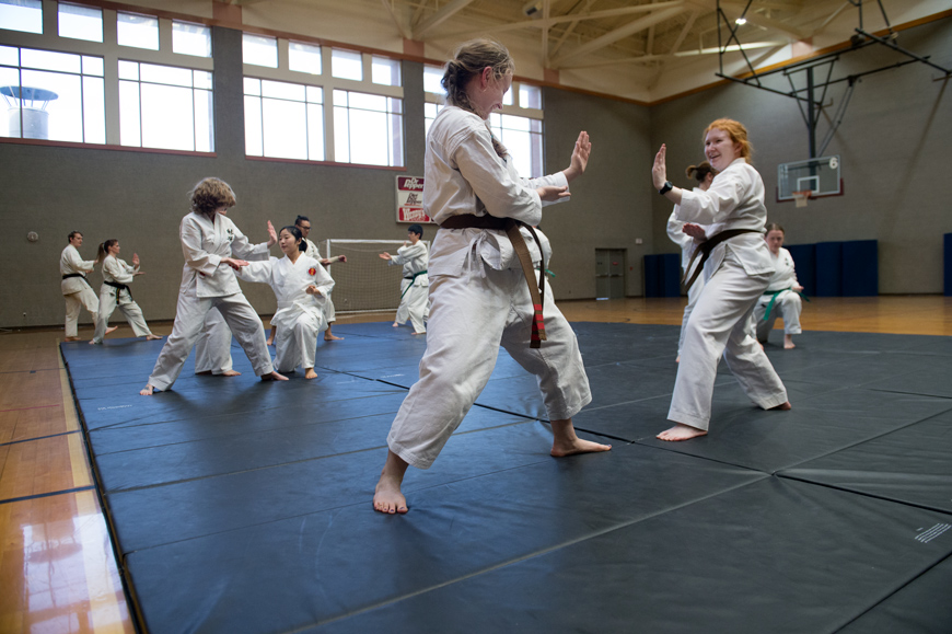 MSU Taido Karate Club hosts weekend workshop in Sanderson gym, with participants testing their martial arts skills.
