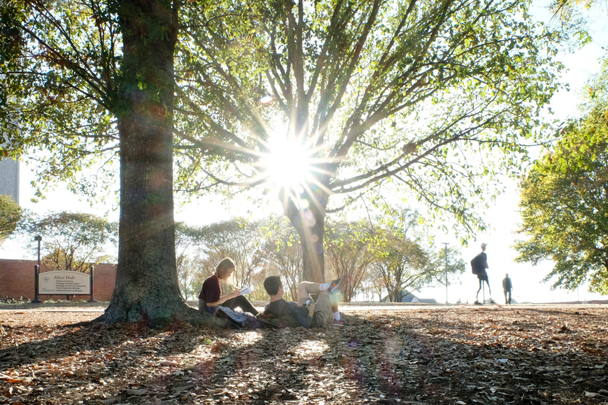 Two students study under trees and among fall leaves on a sunny autumn afternoon