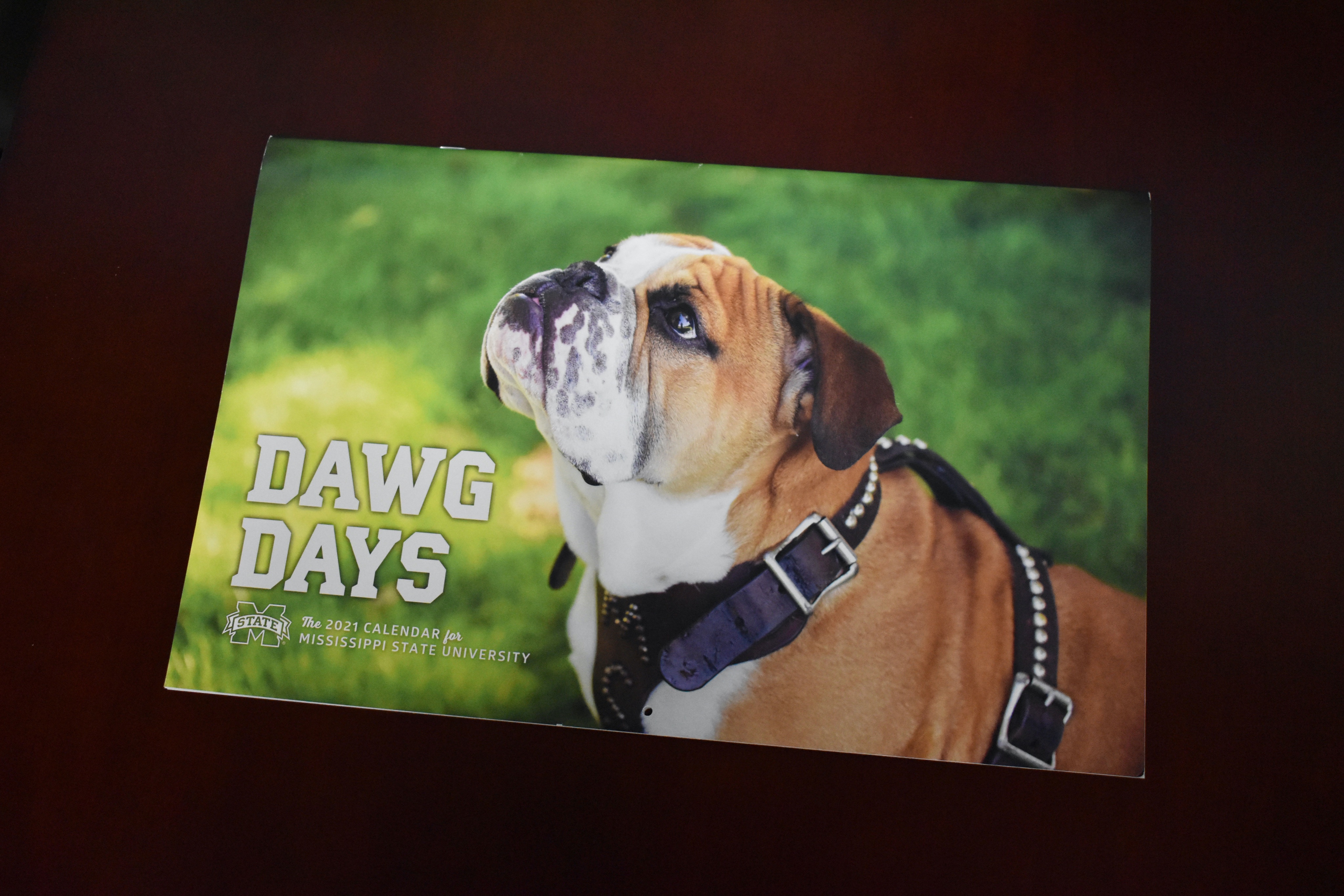 Jak the Bulldog is pictured on the cover of the 2021 MSU Calendar