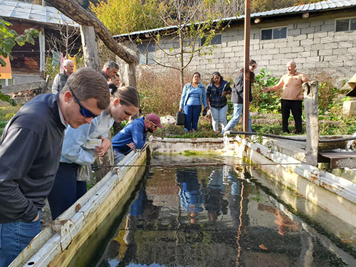 Researchers and farmers observe trout