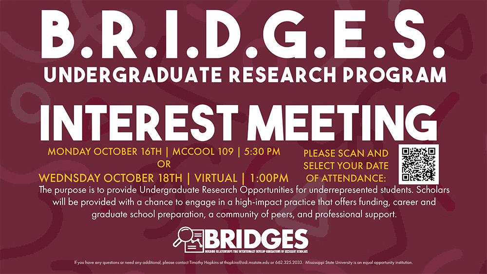 BRIDGES interest meeting promotional graphic