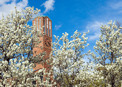 The carillon at MSU’s Chapel of Memories towers above beautiful Bradford Pear trees. (Photo by Russ Houston, 2007)