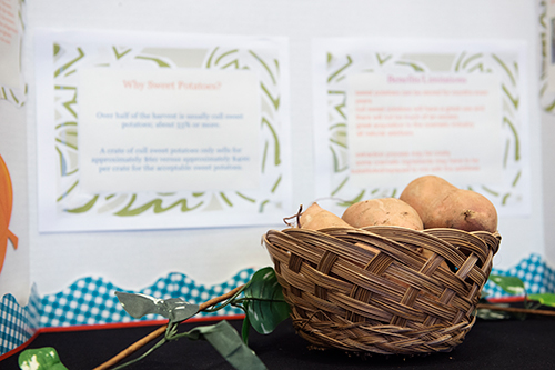 The Sweet Potato Innovation Challenge yielded more than 80 novel ideas for new sweet potato products. (Photo by Megan Bean)