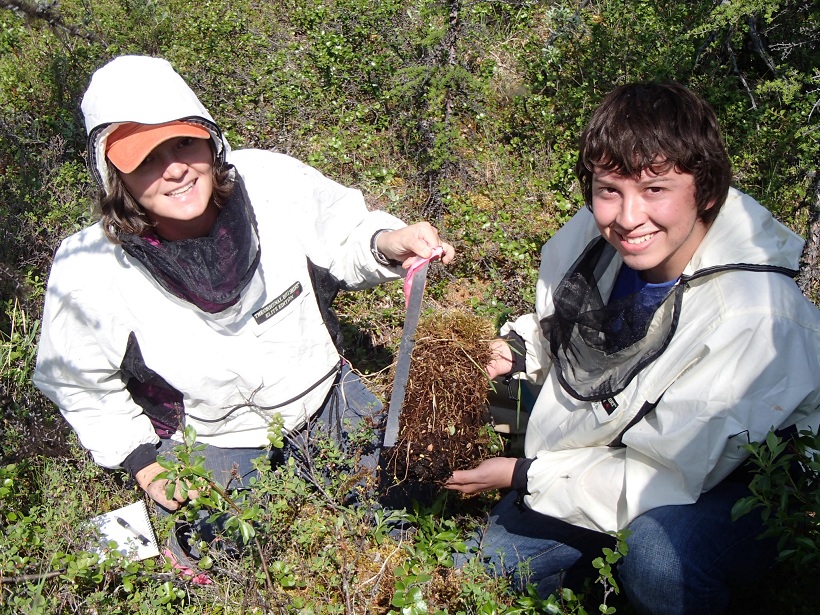 MSU assistant professor Heather Alexander and forestry graduate student Homero Pena take organic soil samples in a Siberian forest. (Photo by Aaron Walker)