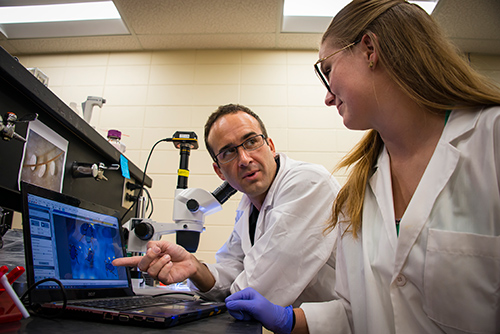 Jonas King works with graduate student Eleanor Moen in the laboratory. (Photo by Karen Brasher)