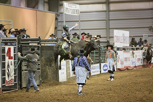 A bull rider competes during a past Rotary Classic Rodeo at the Mississippi Horse Park. 