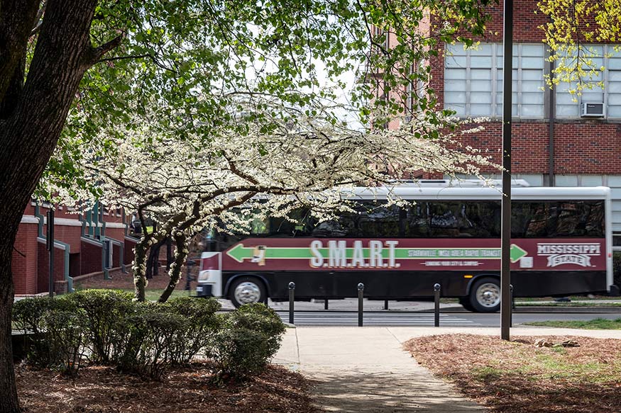 A Starkville-MSU Area Rapid Transit (S.M.A.R.T.) bus drives on the MSU campus. 
