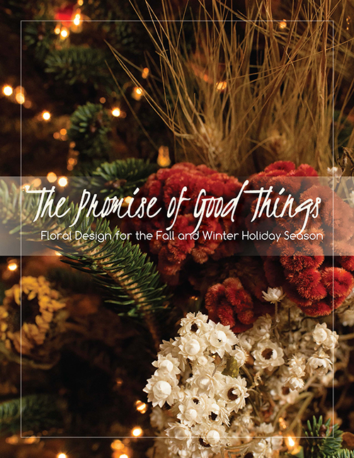 Book cover for "The Promise of Good Things"