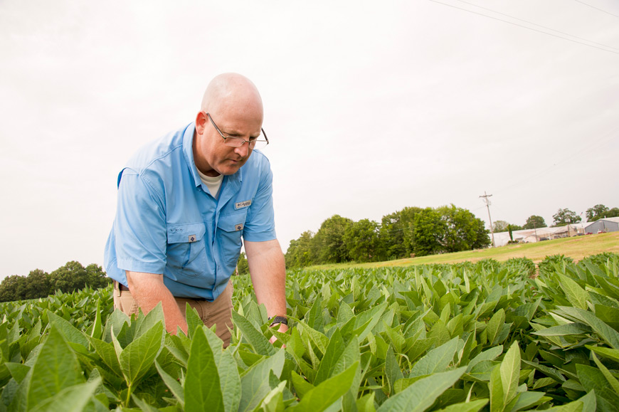 Tom Allen is the 2016 soybean researcher of the year. (Photo by Kat Lawrence)