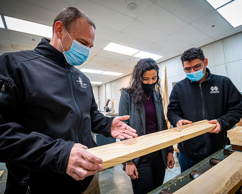 MSU researchers use AI to better evaluate lumber