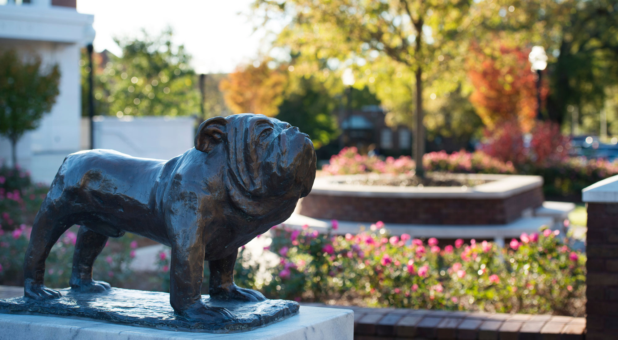 Our State Mississippi State University