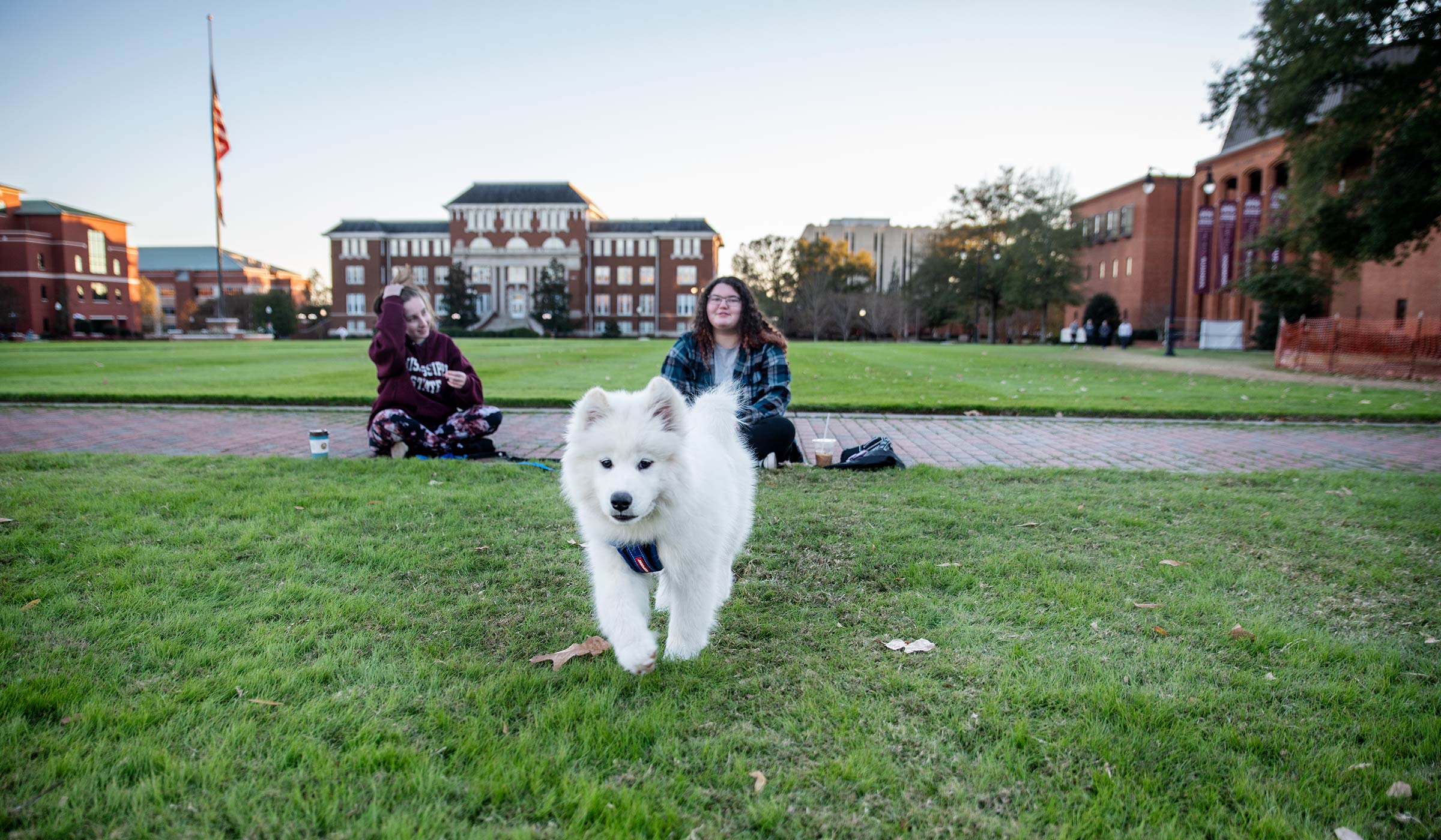 Two students sit on the Drill Field grass, playing with a fluffy white Samoyed puppy, with Swalm in the distance behind them.