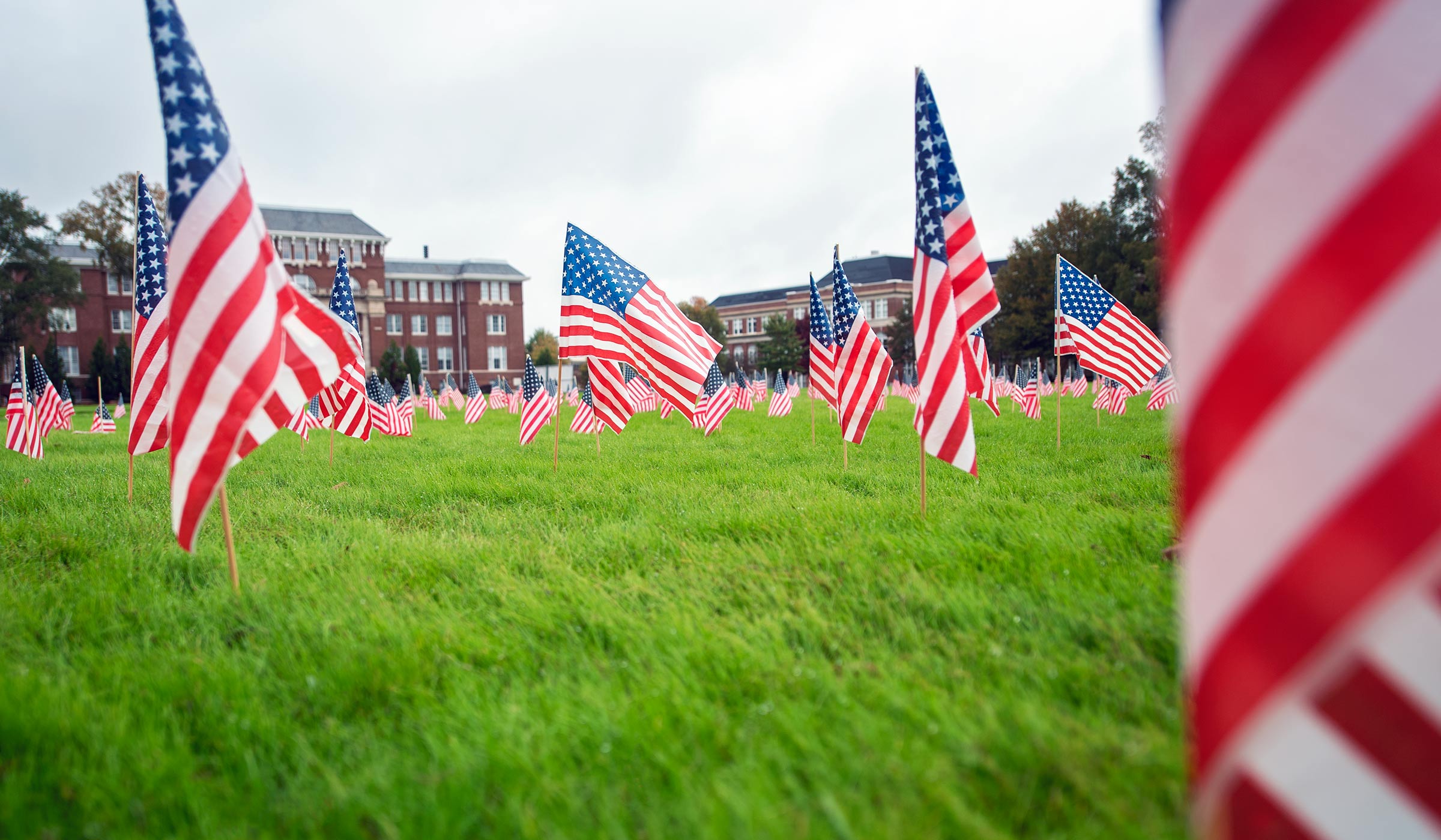 Miniature American flags posted in green grass