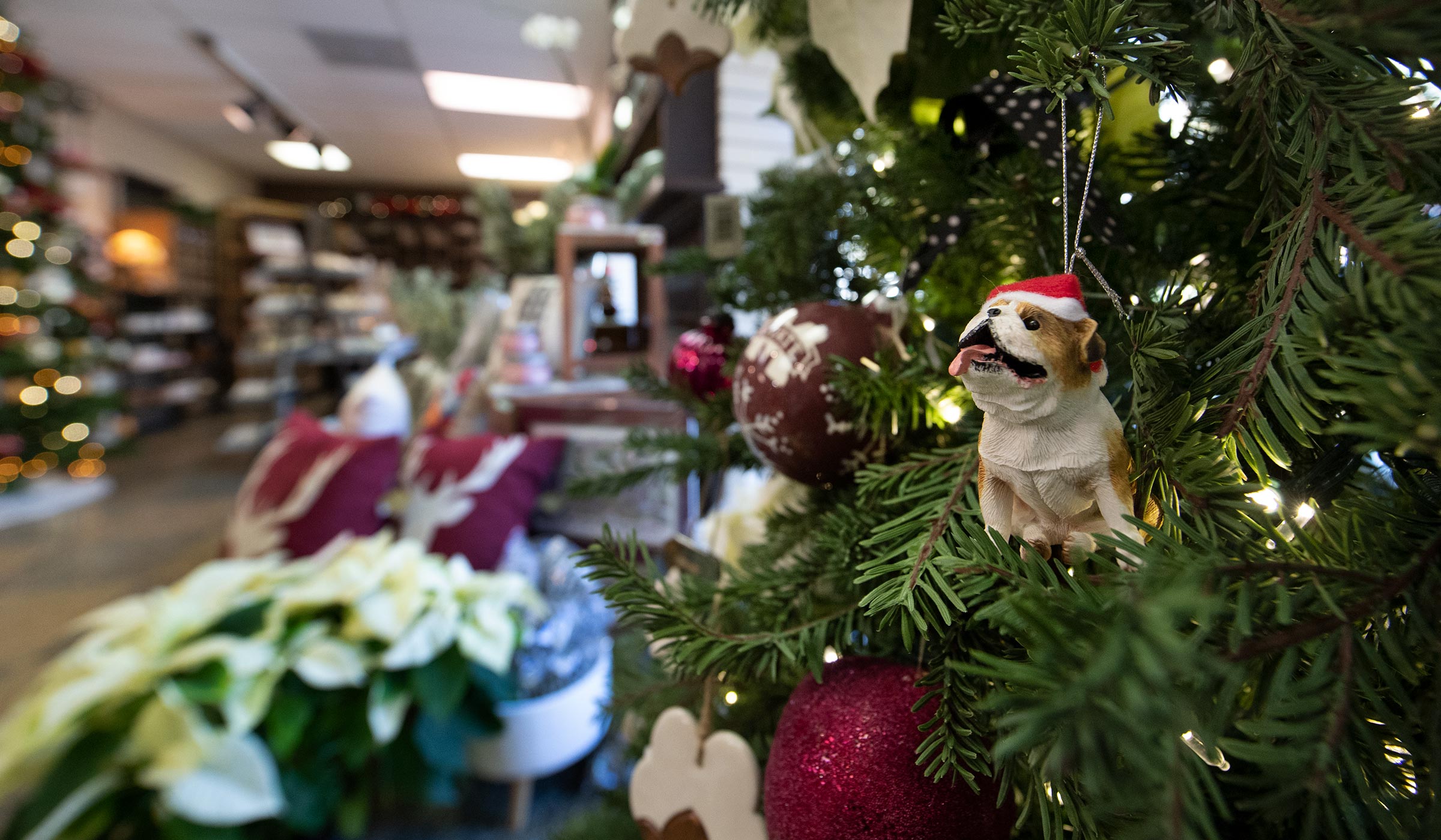 University Florist&#039;s Christmas decor for sale, with focus on a Bully ornament hanging on a Christmas tree.