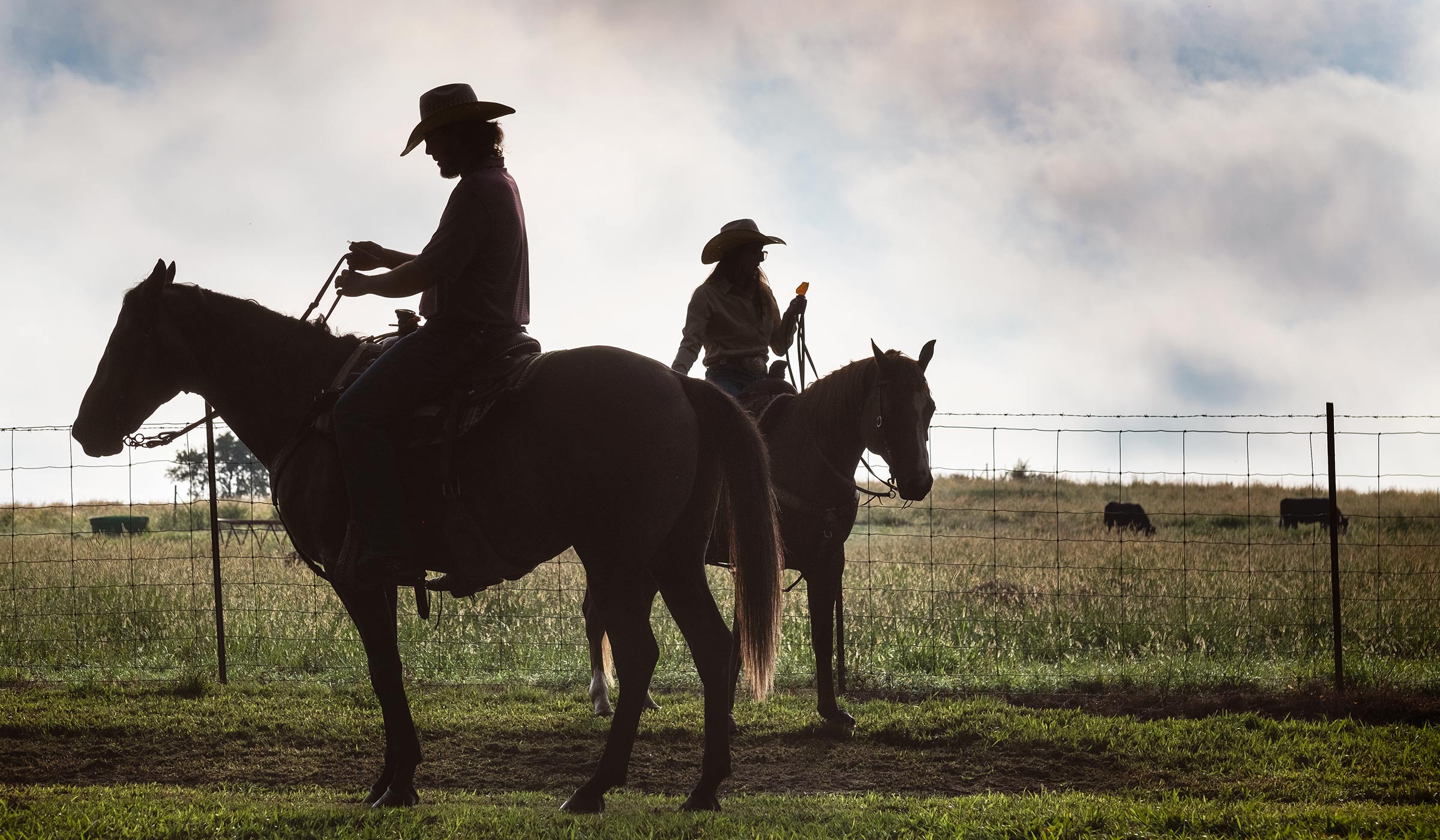 Two South Farm cowboys on their horses, in sillhouette, with cow pasture behind.