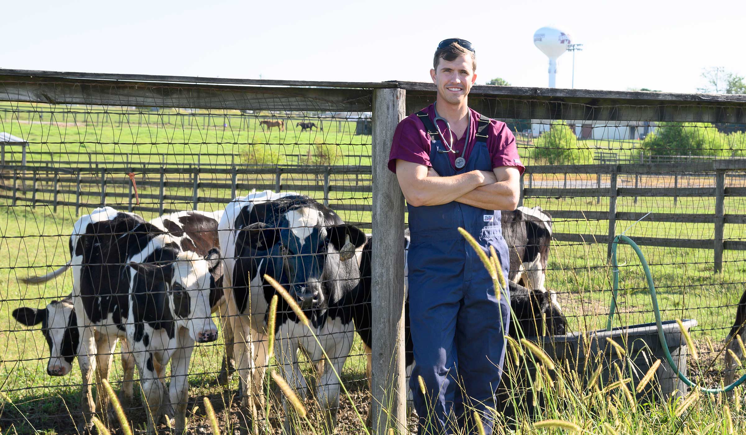 Andrew Cox, pictured among cows on MSU&#039;s South Farm.