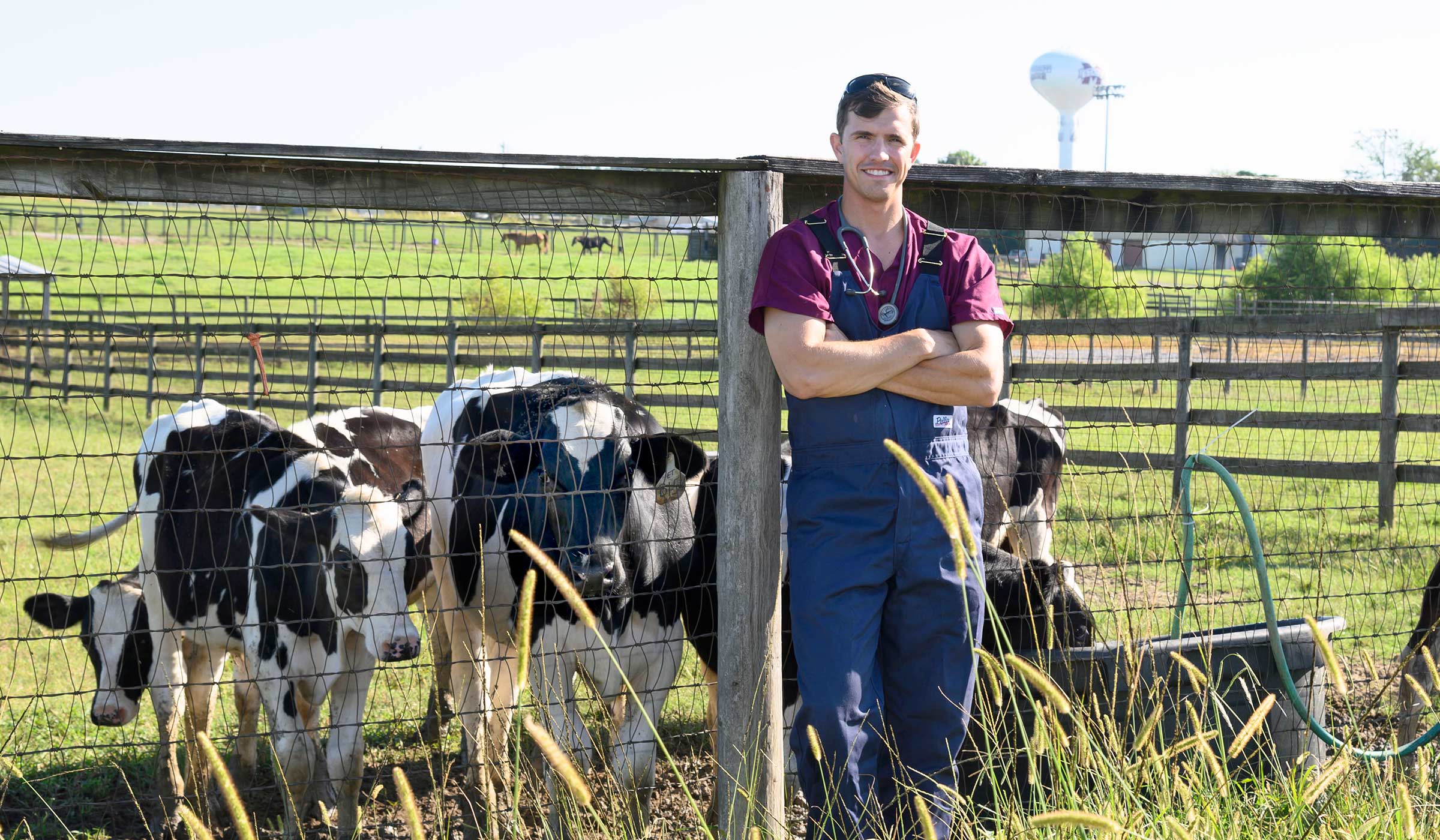 Andrew Cox, pictured among cows on MSU's South Farm.
