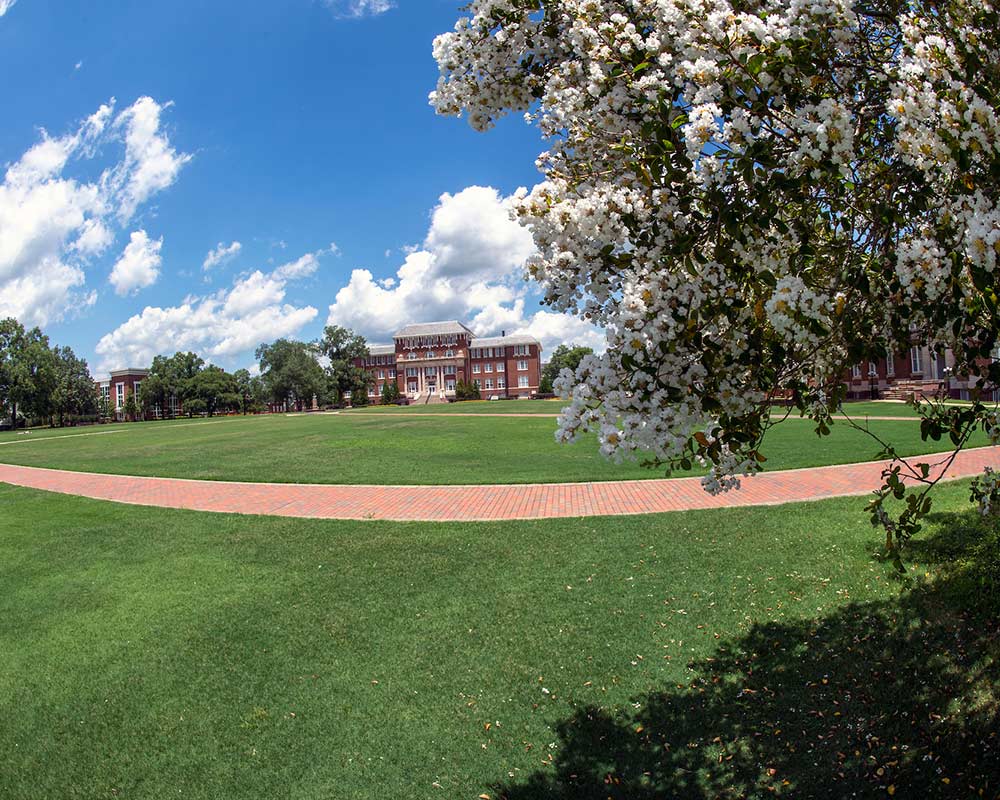 graduate school diversity statement