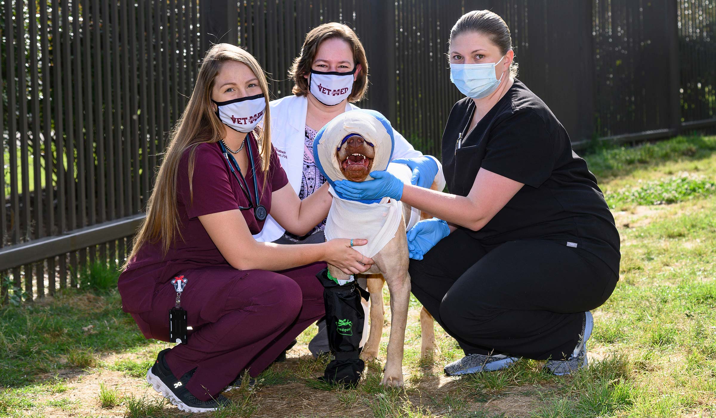 Women in scrubs and lab coat with happy dog wrapped in bandages