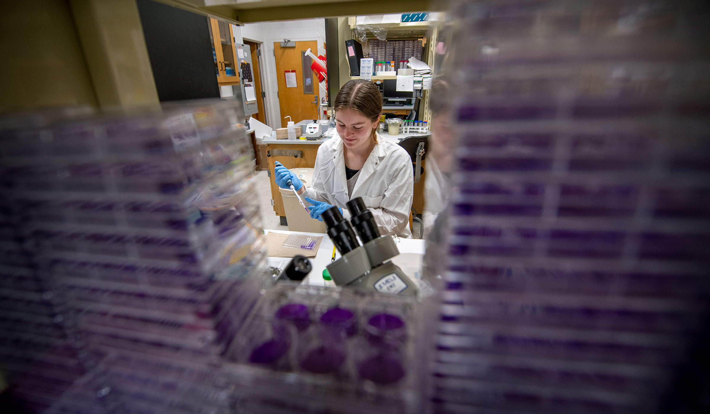 Female student in lab coat and gloves using pipette with purple slides in foreground