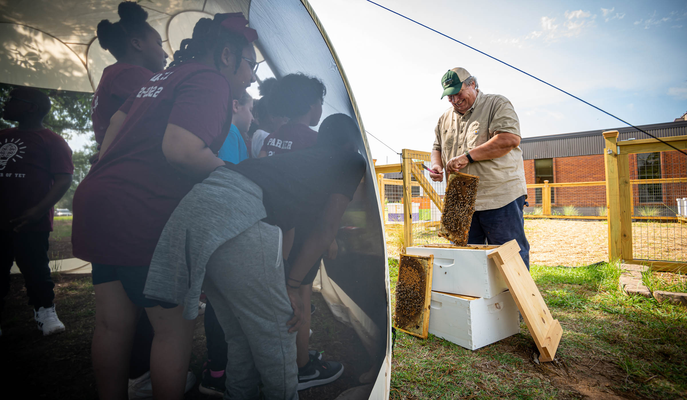 On the left side of the frame, elementary students are encased in a rounded screened tent while Jeff Harris holds up bees from a hive outside.