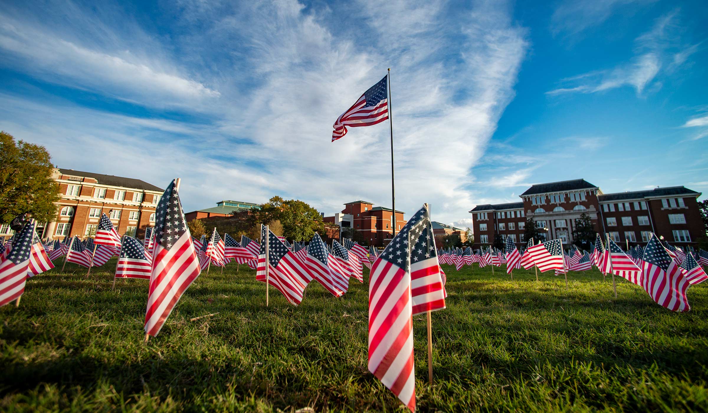 Large and small American flags on green grass with buildings in background