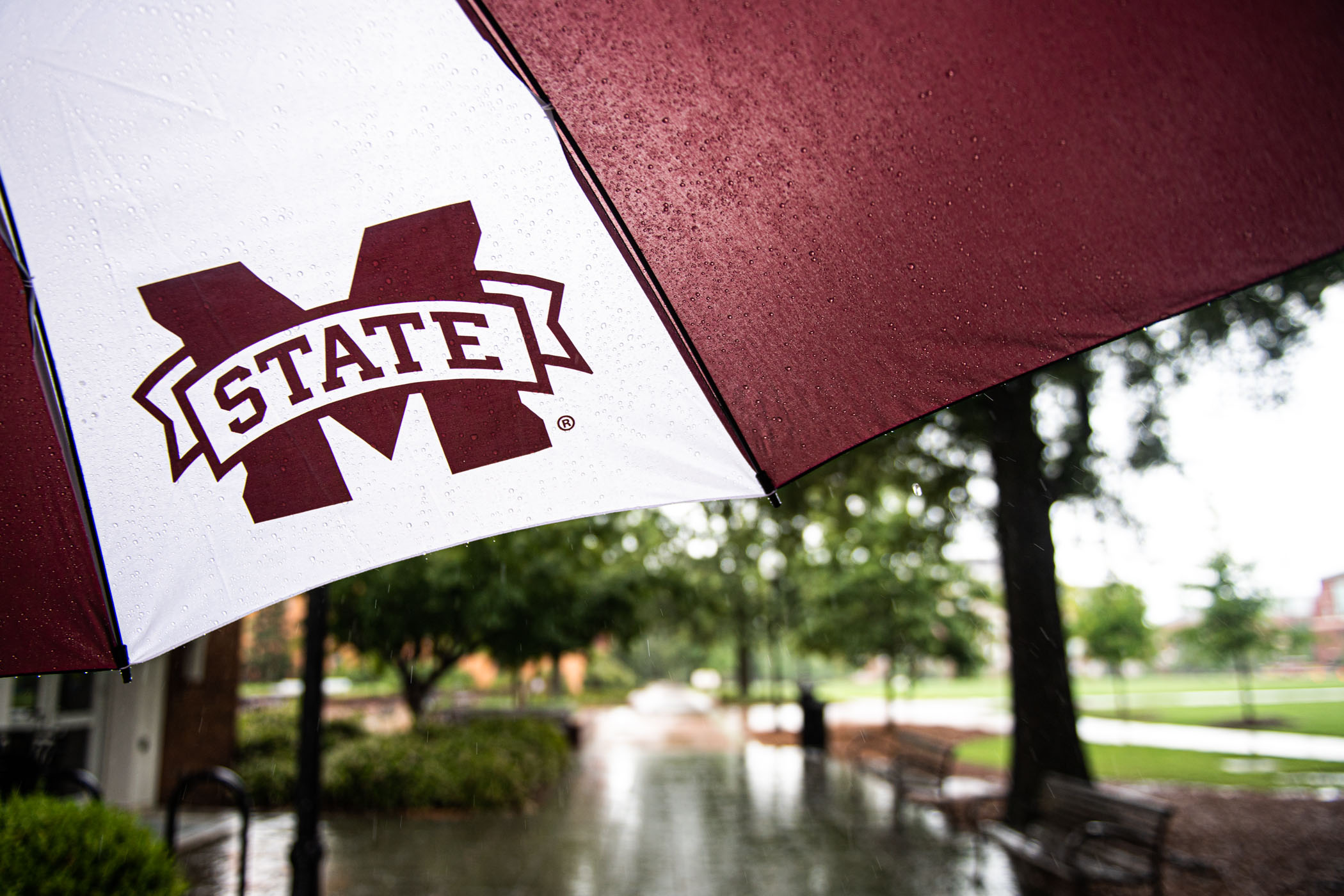 A large MSU maroon and white umbrella stands out against an early and rainy August afternoon on campus.