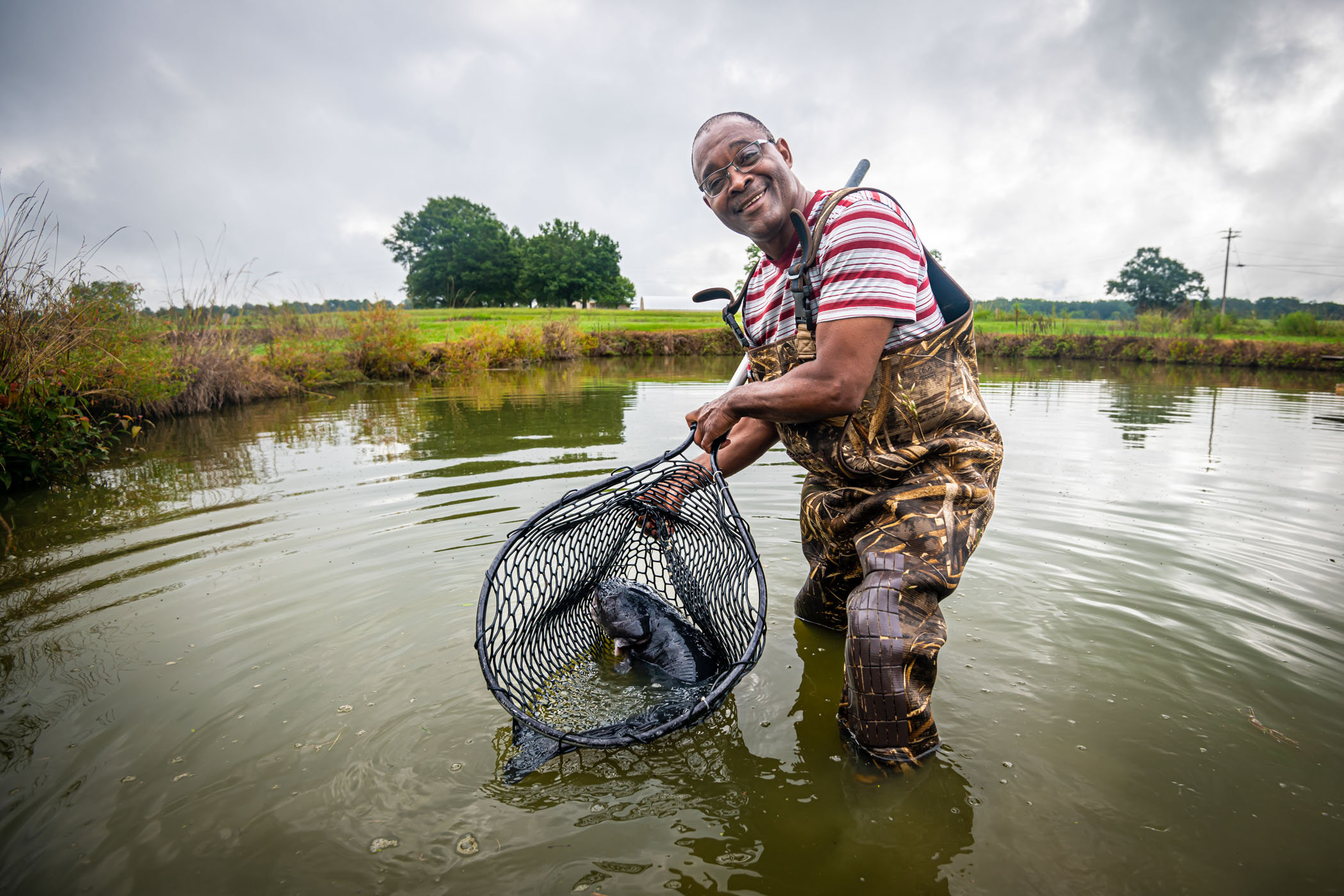 Troy Lindsey, pictured with a fish in a net at one of MSU&#039;s aquaculture research ponds.