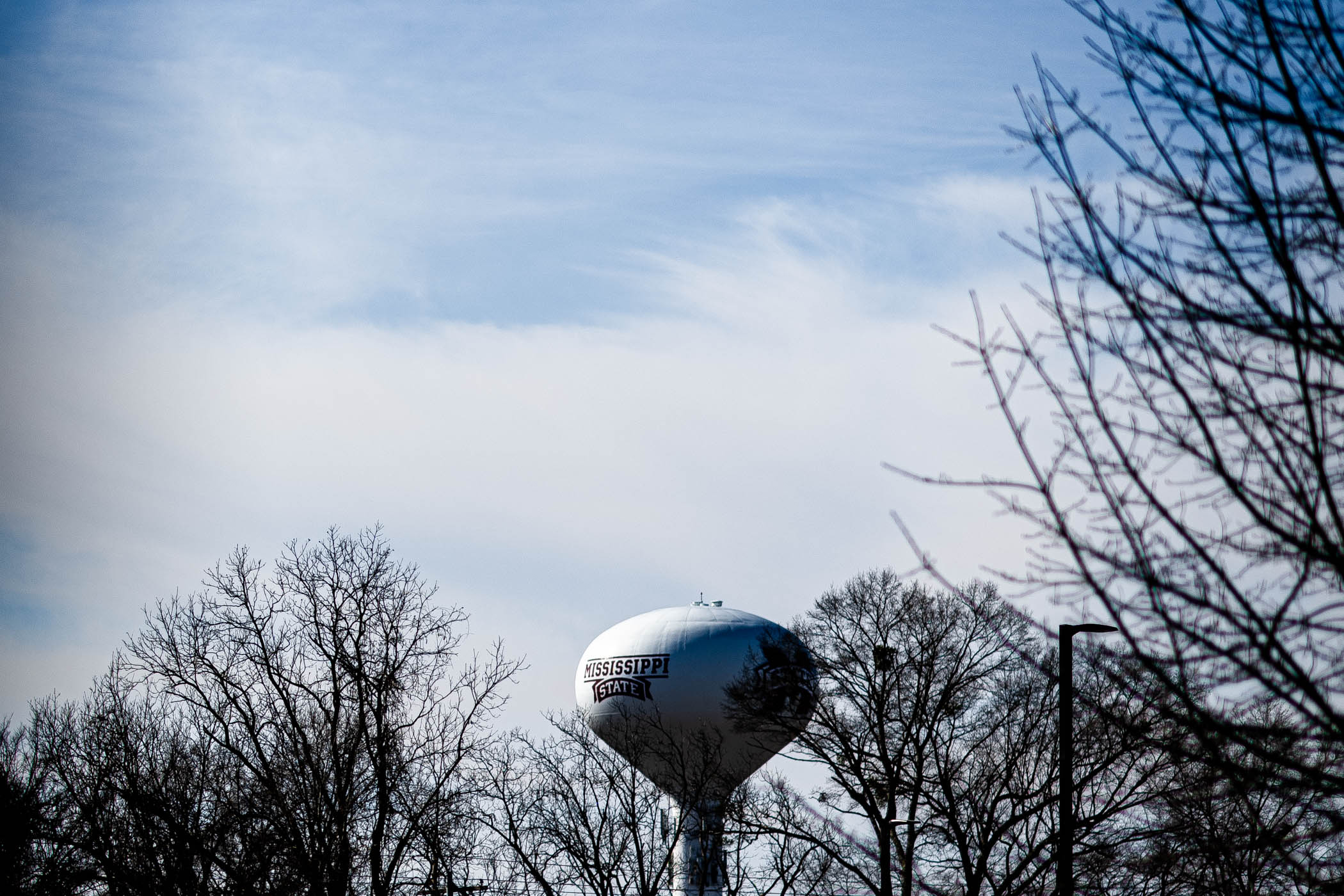 MSU&#039;s iconic water tower hovers above a line of barren branches