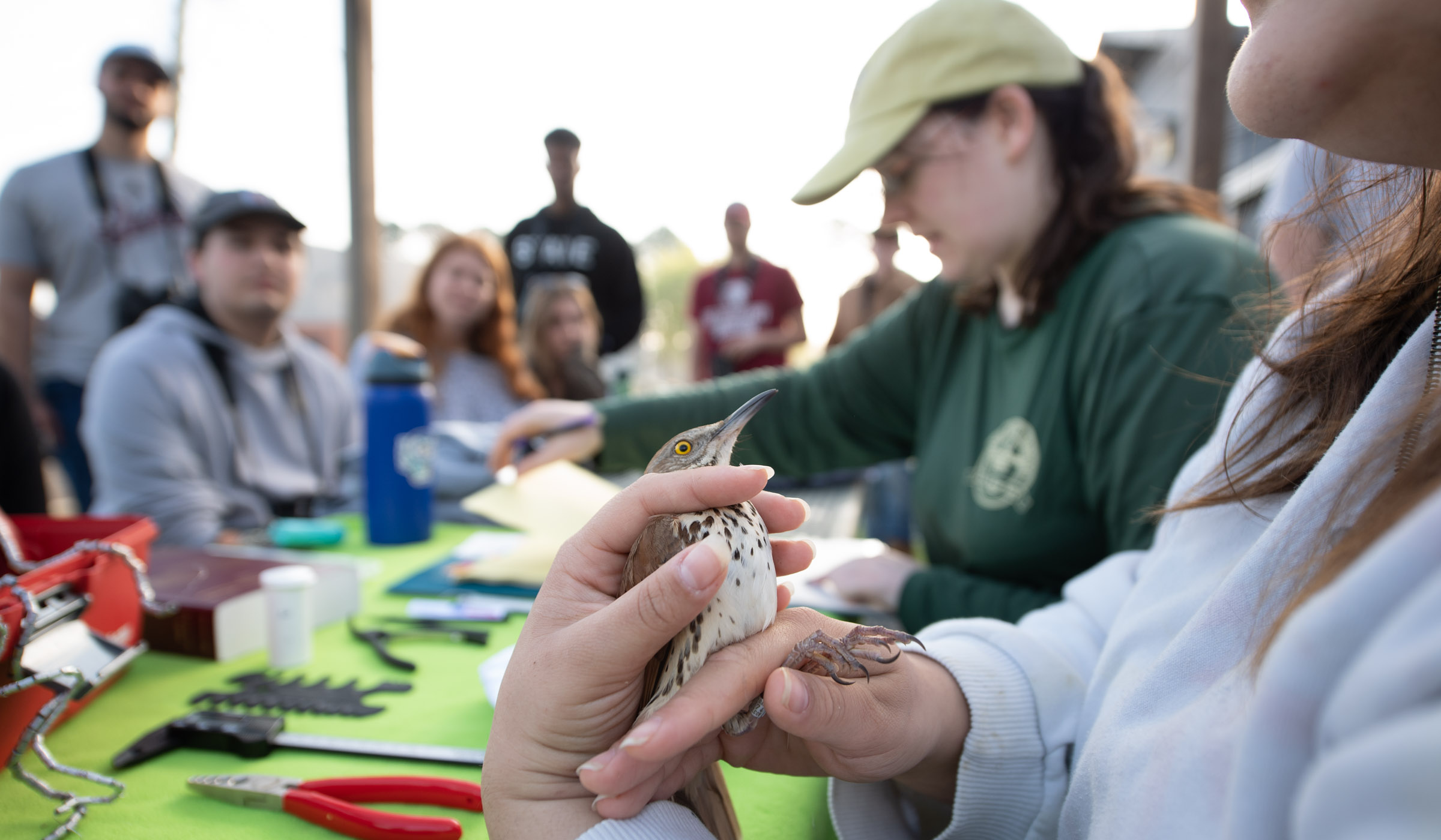 A Brown Thrasher bird is held in the foreground with a blur of students in the background, looking on.