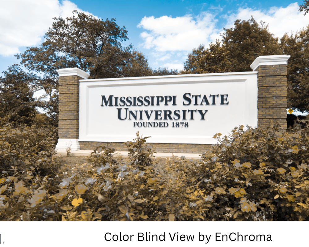 Colorblind MSU students gain access to specially engineered glasses ...